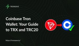 Top Tron Hardware Wallets For Secure TRX Storage In 2025