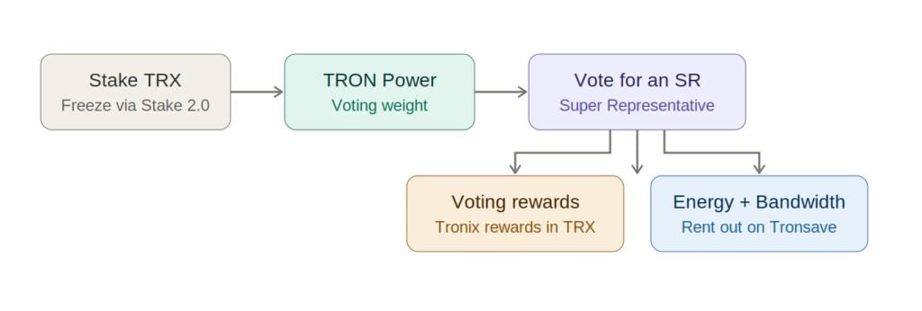 Tron DPOS voting flow Tron DPOS voting flow