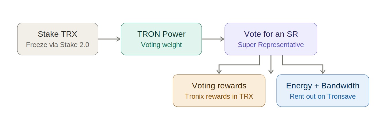 How to Delegate Energy on Tron: A Step-by-Step Guide 1 TRON dPoS flow: stake TRX for TRON Power, vote for a Super Representative, earn rewards and resources