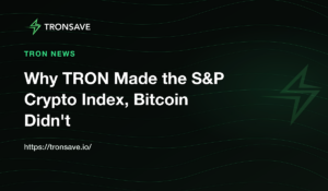 Why TRON Made the S&P Crypto Index, Bitcoin Didn't
