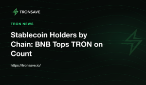 Stablecoin Holders by Chain: BNB Tops TRON on Count