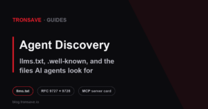 The agent discovery files an AI agent looks for: llms.txt and .well-known descriptors