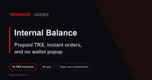 The TronSave internal balance panel, top-up routes and fund history