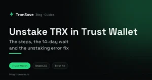 TRON Energy Rental Cost: Per Rental vs Per Day, Explained