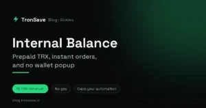 The TronSave internal balance panel, top-up routes and fund history